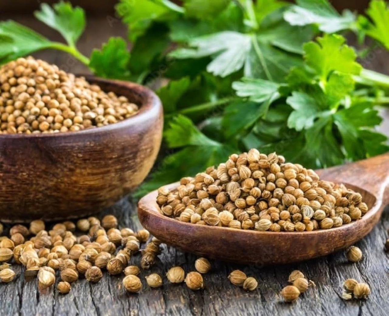 Premium Egyptian Coriander Seeds