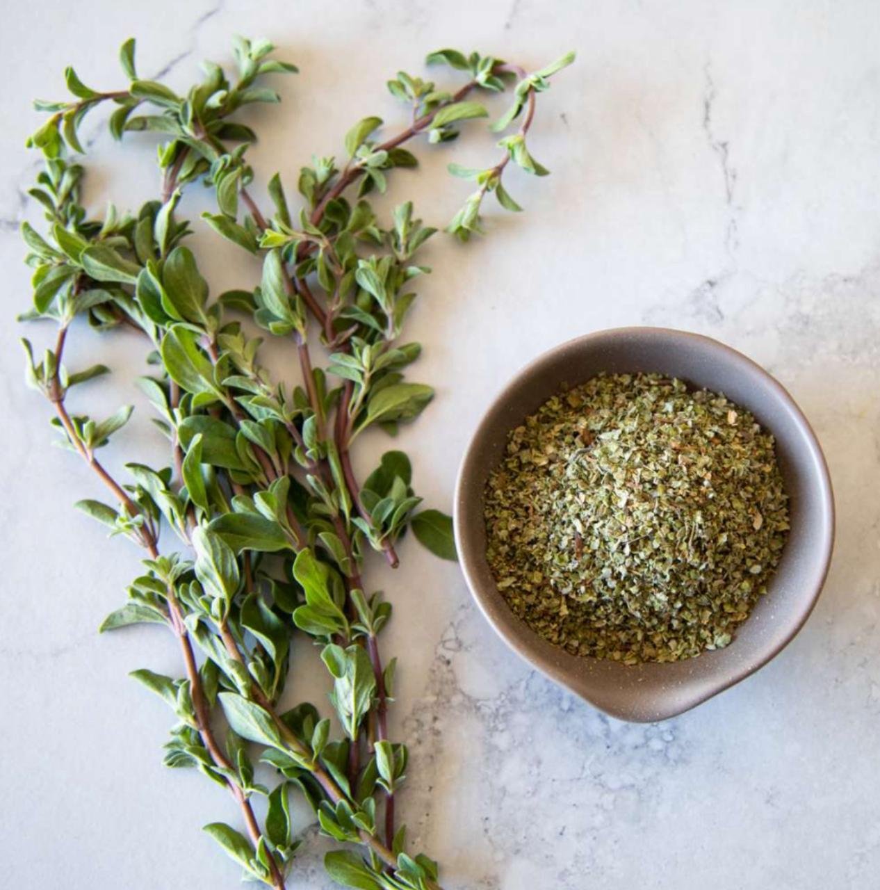 Egyptian Marjoram Close-up