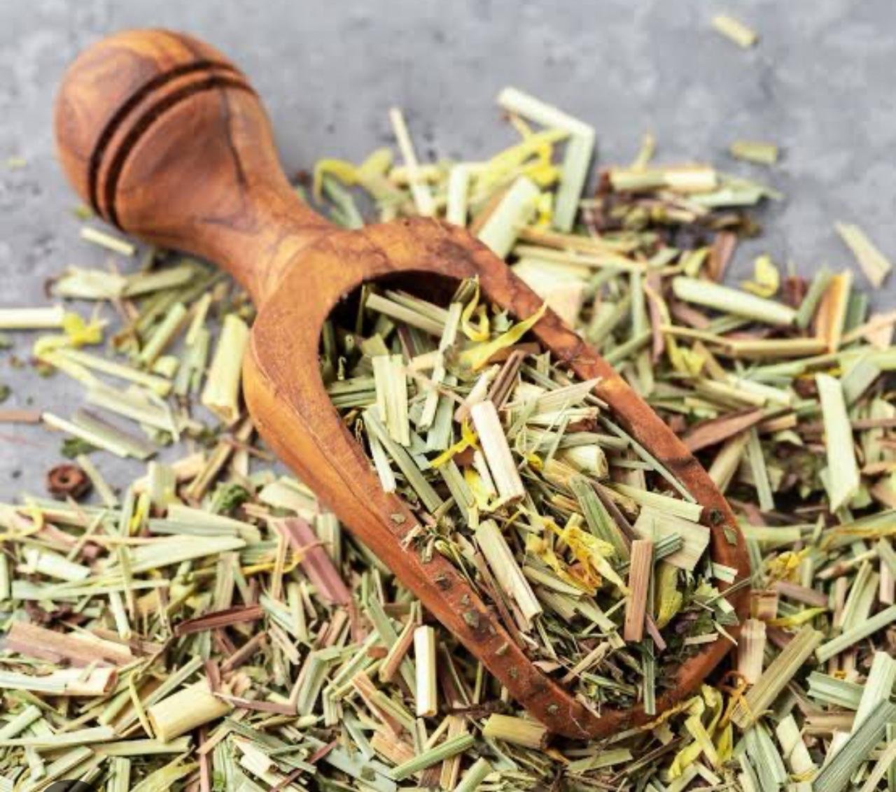Egyptian Lemongrass Close-up